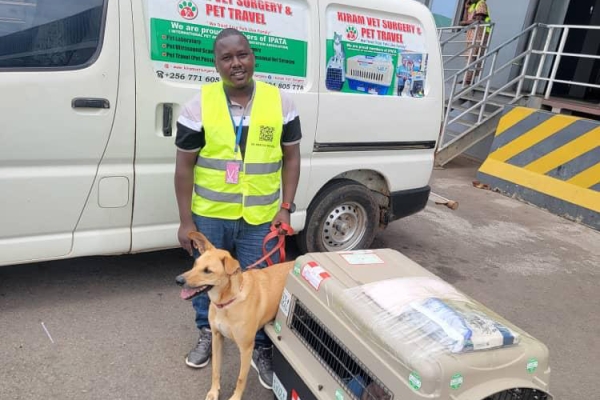 WhatsApp Image 2025-04-03 at 00.53.